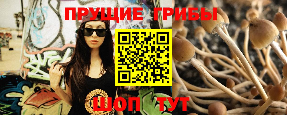 Галлюциногенные грибы прущие грибы  Вход с VPN  Галлюциногенные грибы прущие грибы  Междуреченск 